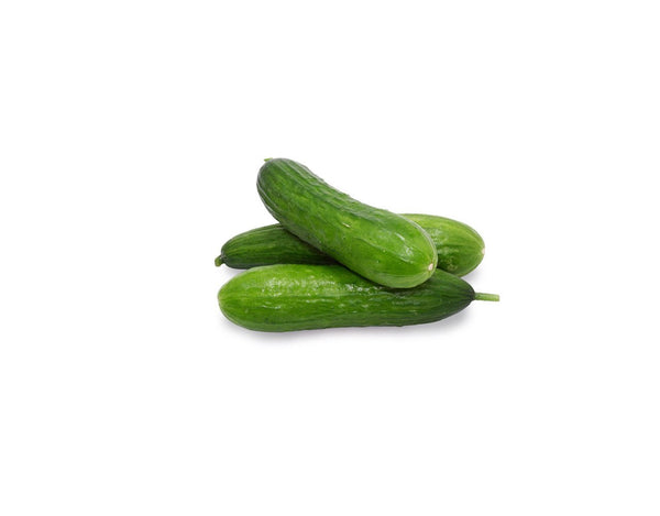 Cucumber